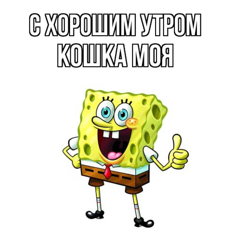 Картинка С хорошим утром, Кошка моя