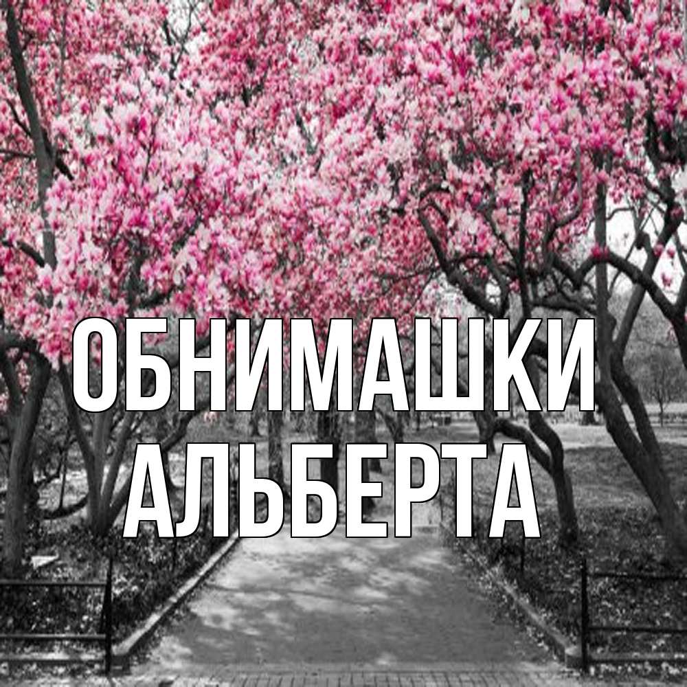 Открытка на каждый день с именем, Альберта Обнимашки обработанное фото Прикольная открытка с пожеланием онлайн скачать бесплатно 