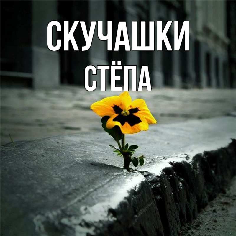 Картинка Скучашки, Стёпа