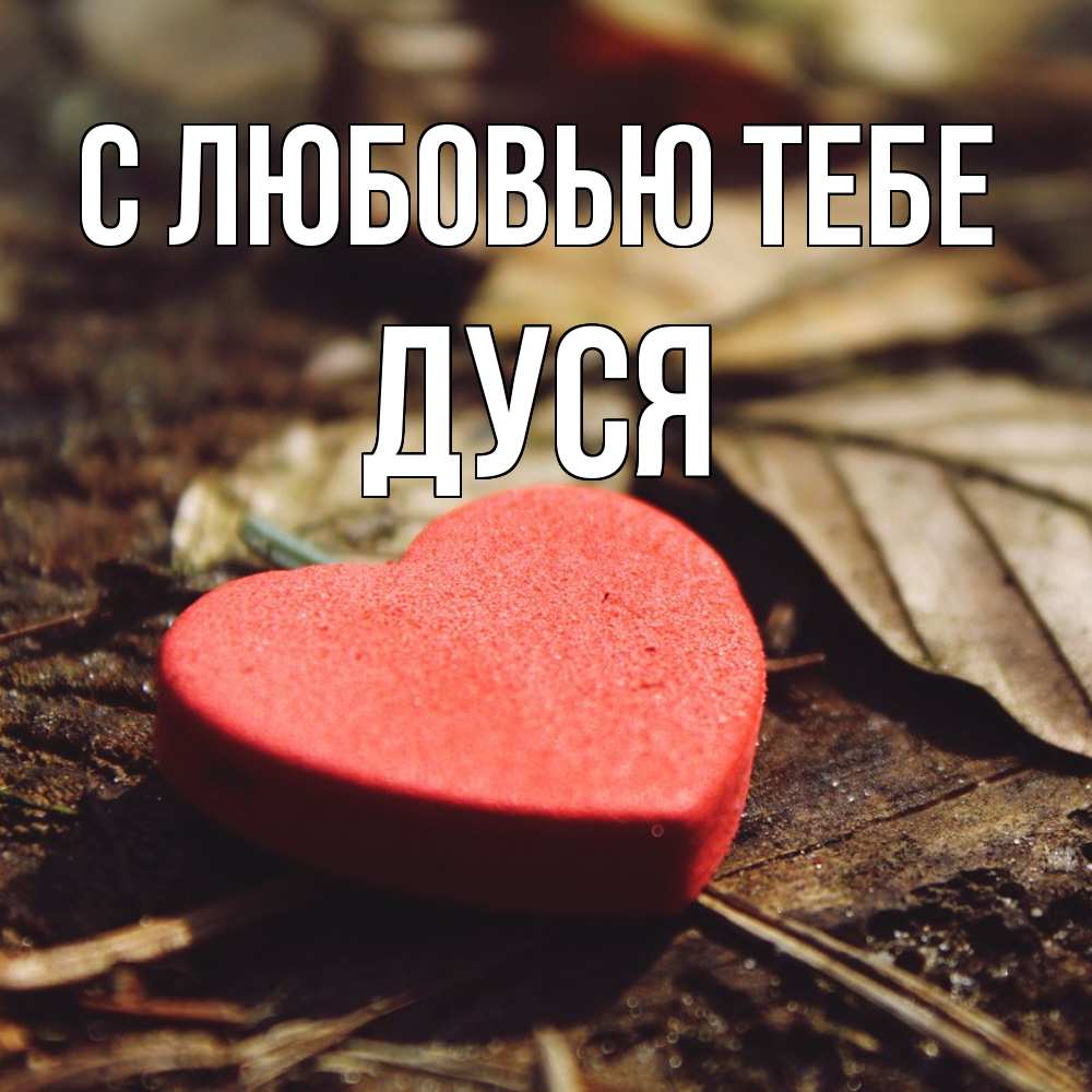Открытка на каждый день с именем, Дуся С любовью тебе листья деревье 4 Прикольная открытка с пожеланием онлайн скачать бесплатно 