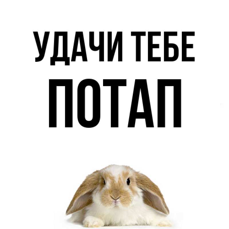 Открытка с именем, Потап, Удачи тебе