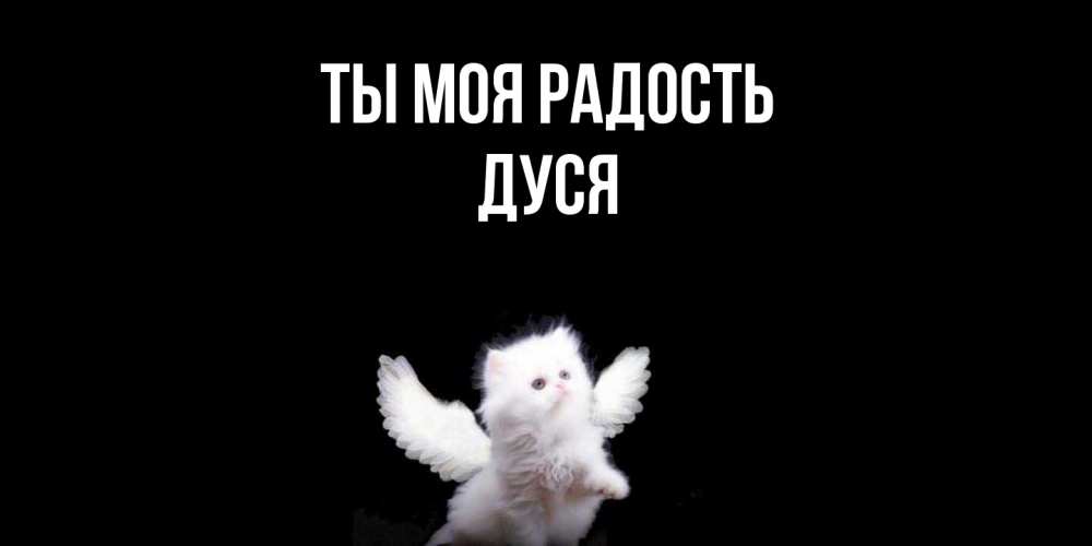 Открытка на каждый день с именем, Дуся Ты моя радость Кот ангел Прикольная открытка с пожеланием онлайн скачать бесплатно 