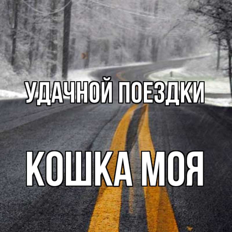 Картинка Удачной поездки, Кошка моя