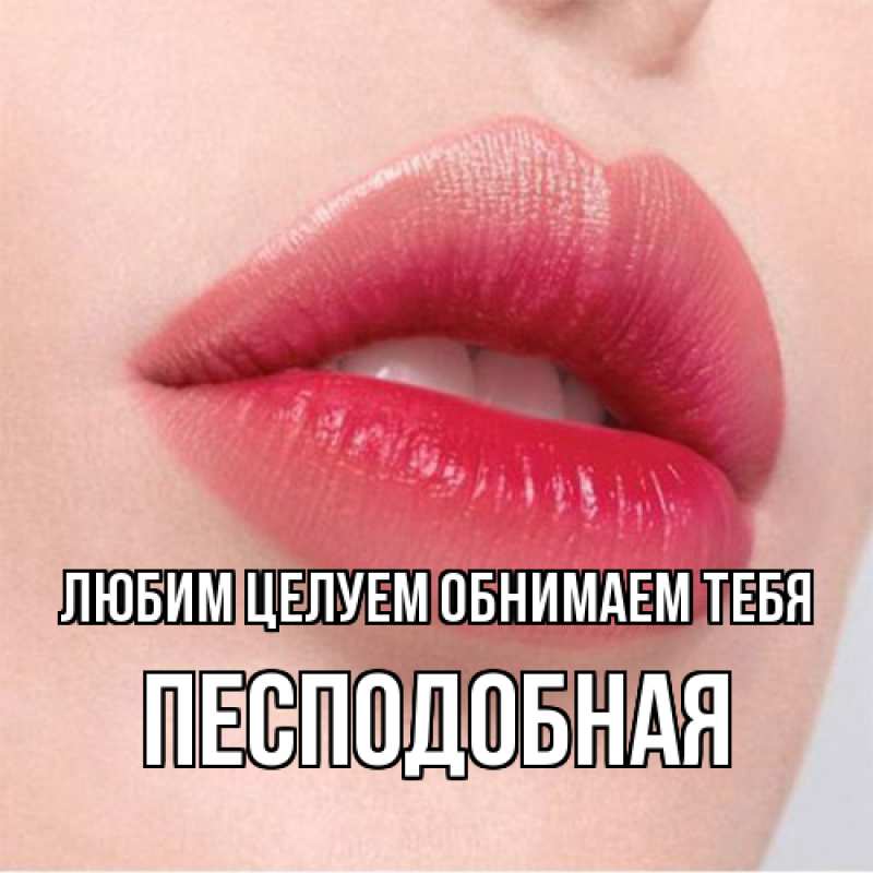 Картинка Любим целуем обнимаем тебя, Песподобная