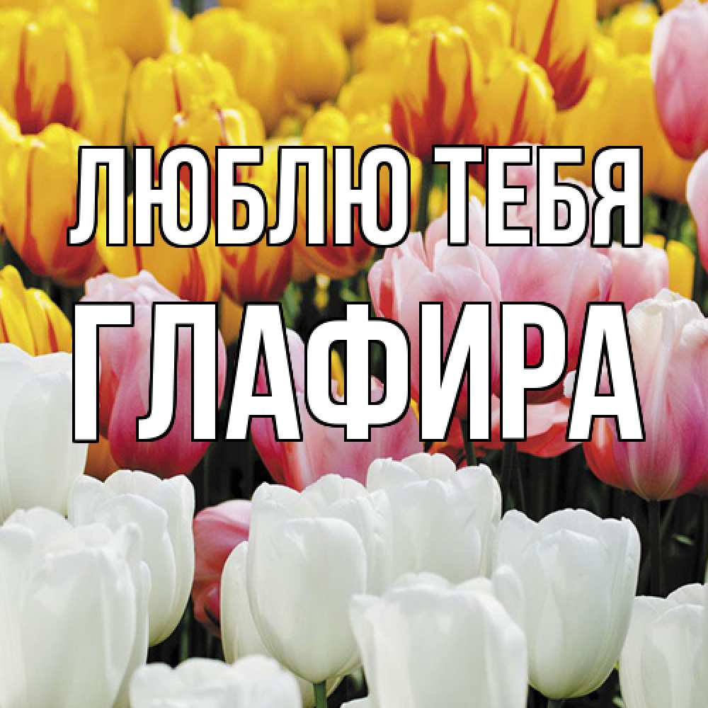 Открытка на каждый день с именем, Глафира Люблю тебя разноцветные цветы Прикольная открытка с пожеланием онлайн скачать бесплатно 