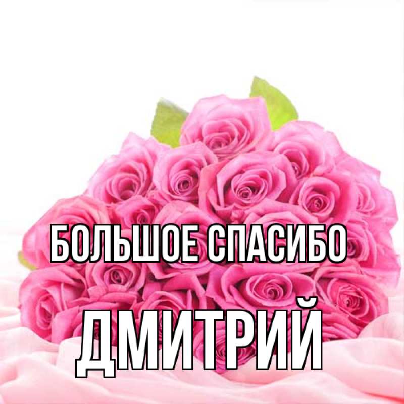 Картинка Большое спасибо, Дмитрий