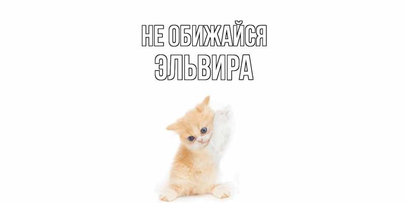 Картинка Не обижайся, Эльвира