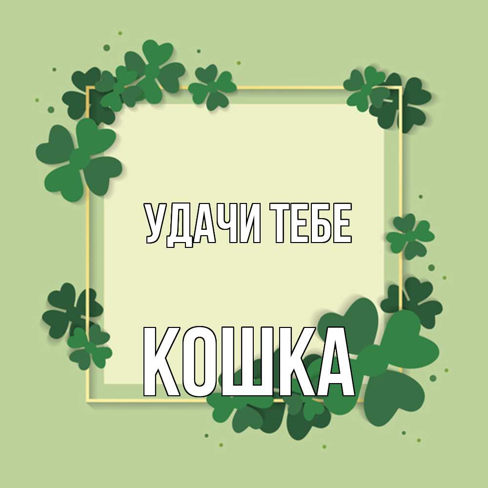 Открытка на каждый день с именем, Кошка Удачи тебе на удачу Прикольная открытка с пожеланием онлайн скачать бесплатно 
