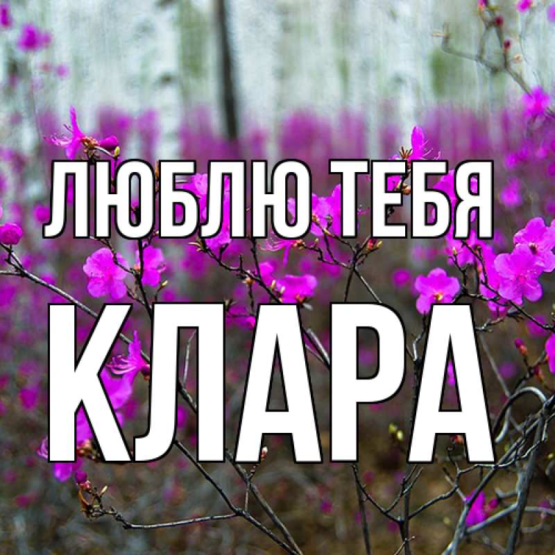 Картинка Люблю тебя, Клара