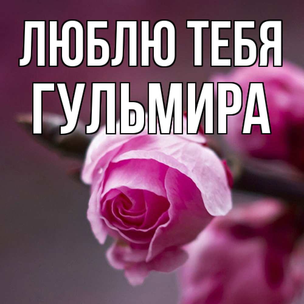 Открытка на каждый день с именем, Гульмира Люблю тебя весна Прикольная открытка с пожеланием онлайн скачать бесплатно 