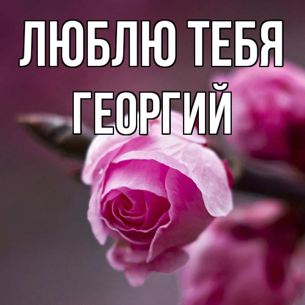 Открытка на каждый день с именем, Георгий Люблю тебя весна Прикольная открытка с пожеланием онлайн скачать бесплатно 
