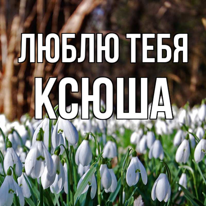 Картинка Люблю тебя, Ксюша