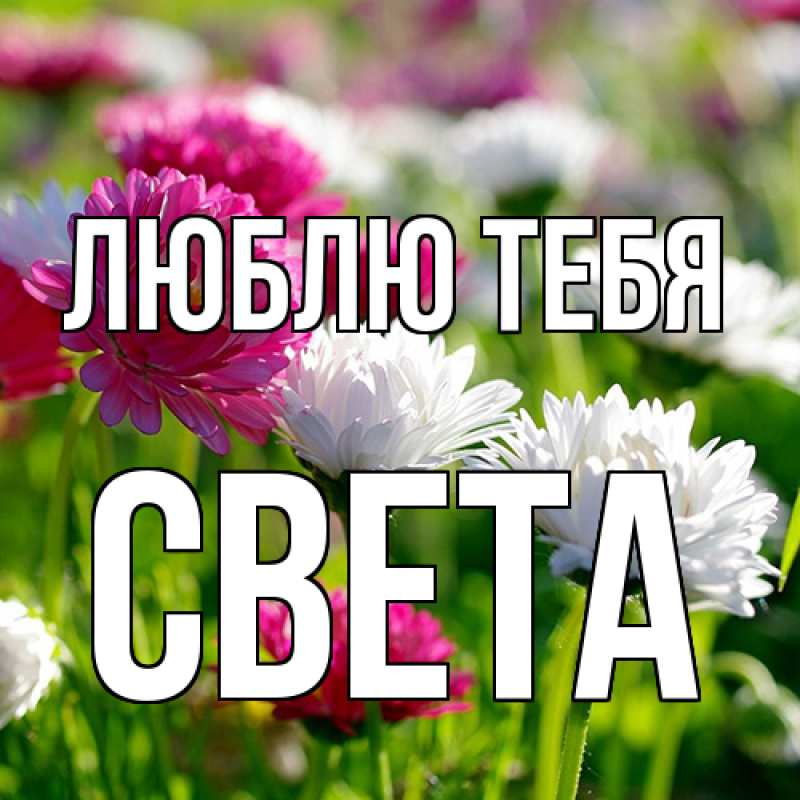 Открытка с именем, Света, Люблю тебя