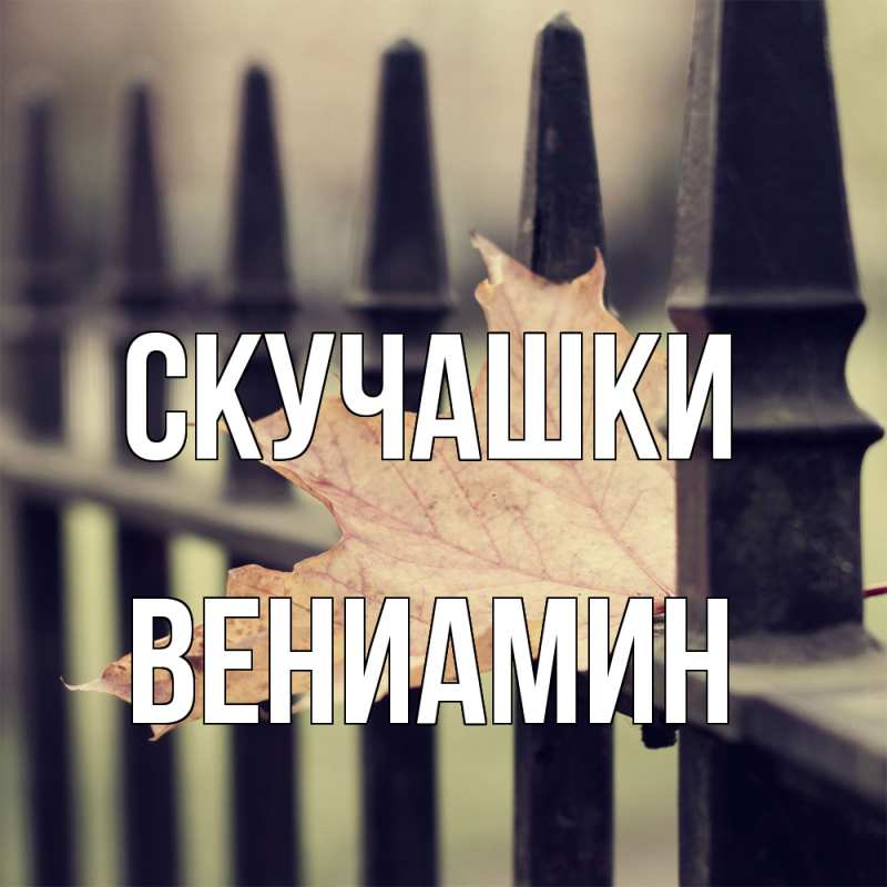 Картинка Скучашки, Вениамин