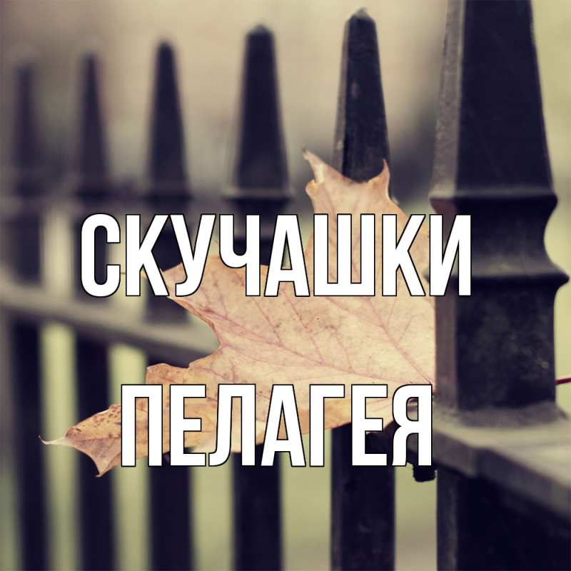 Картинка Скучашки, Пелагея