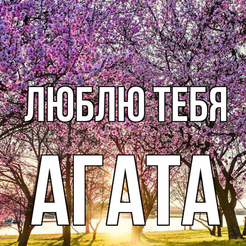 Картинка Люблю тебя, Агата
