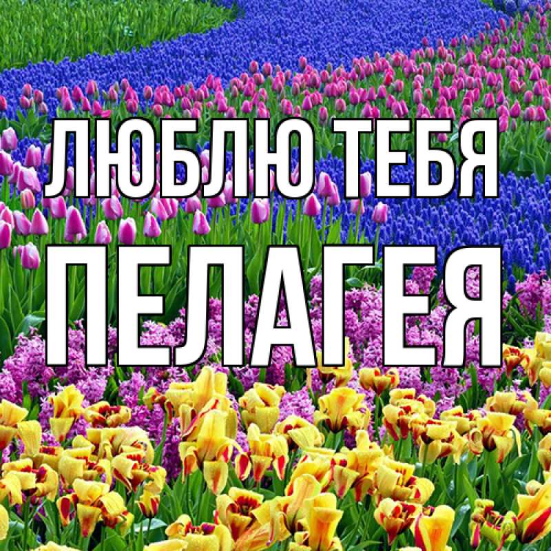 Картинка Люблю тебя, Пелагея