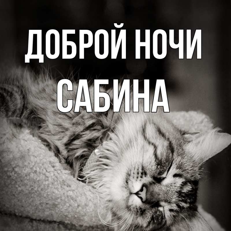 Картинка Доброй ночи, Сабина