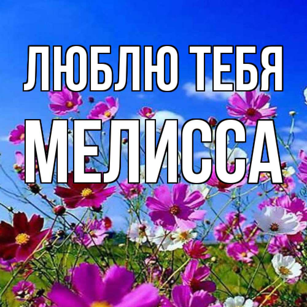 Открытка на каждый день с именем, Мелисса Люблю тебя цветы Прикольная открытка с пожеланием онлайн скачать бесплатно 