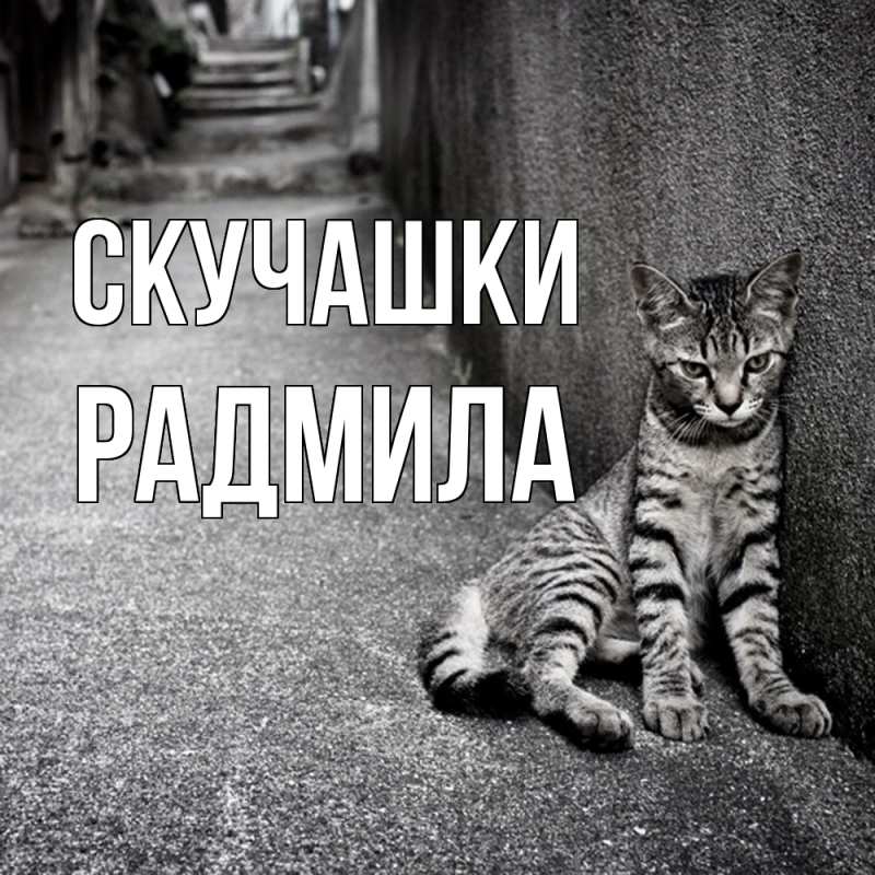 Картинка Скучашки, Радмила