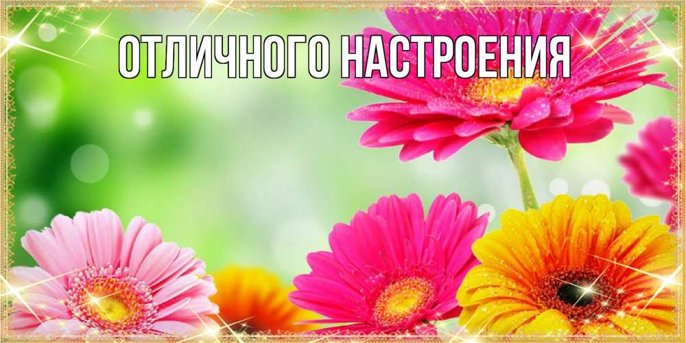Открытка на каждый день с именем, Габриэлла Люблю тебя цветочки для любимой женщины Прикольная открытка с пожеланием онлайн скачать бесплатно 