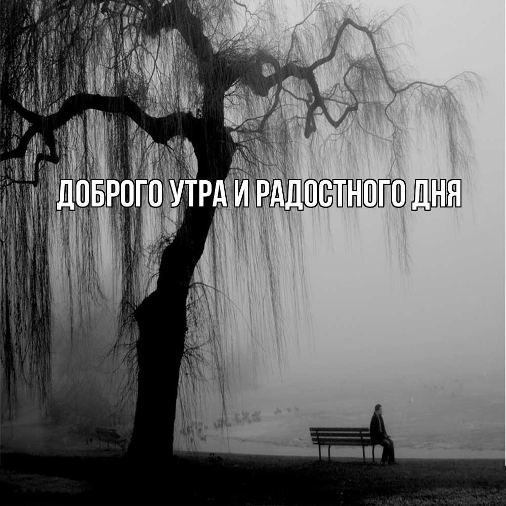 Открытка на каждый день с именем, Ия Не грусти все будет хорошо висящие ветки дерева и лавочка под деревом Прикольная открытка с пожеланием онлайн скачать бесплатно 