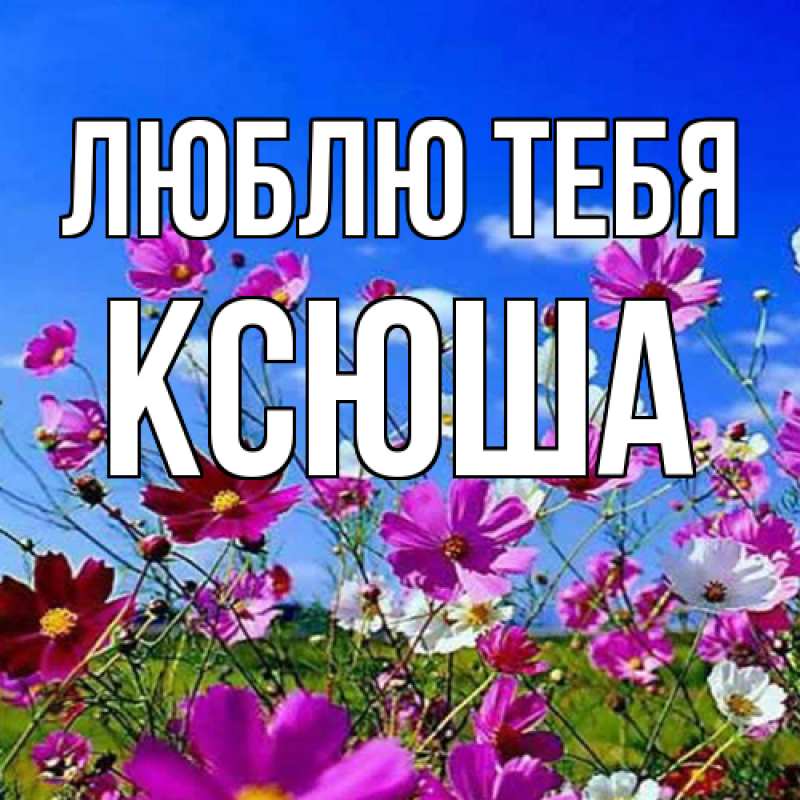 Картинка Люблю тебя, Ксюша