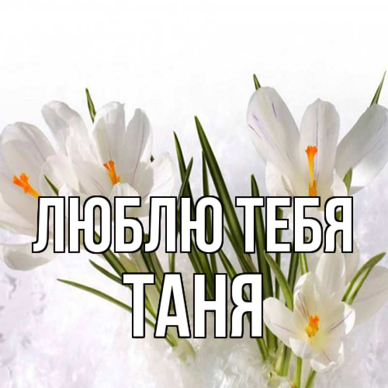Картинка Люблю тебя, Таня