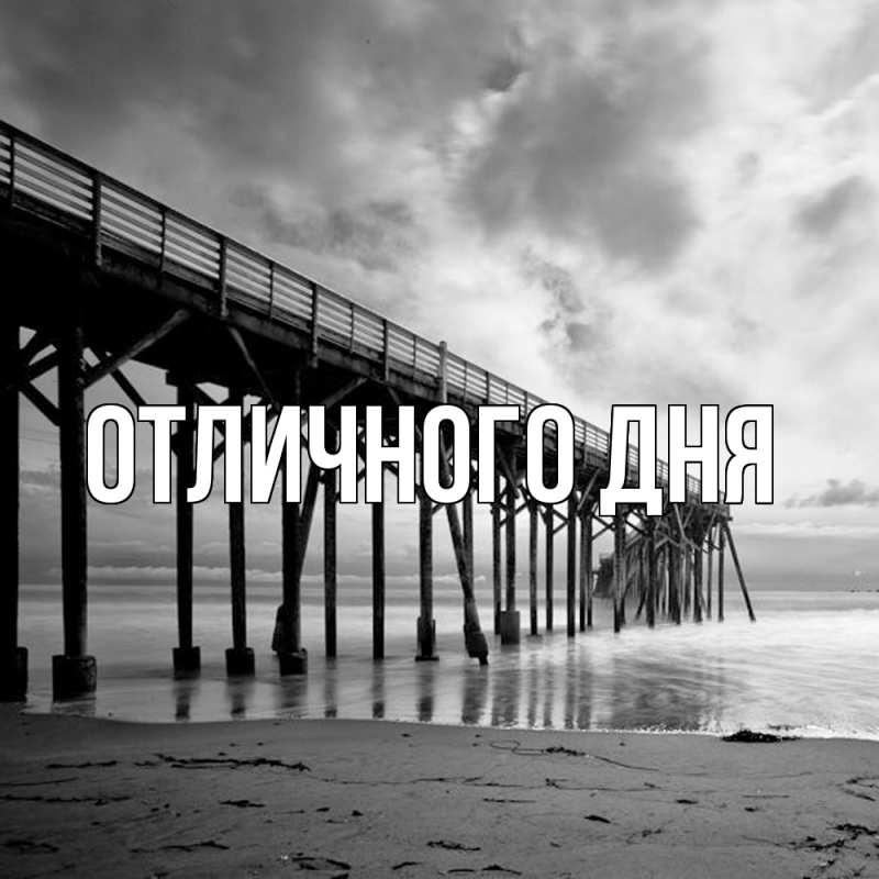 Картинка Скучашки, Леон