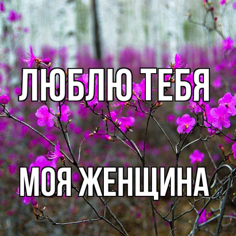 Картинка Люблю тебя, Моя женщина