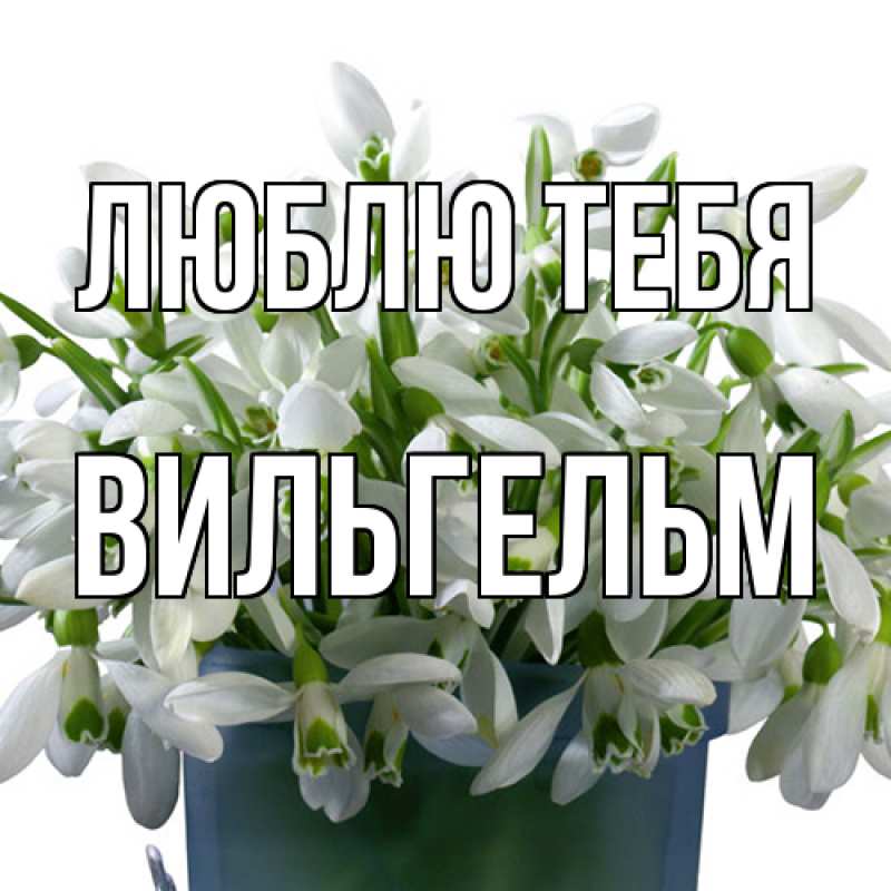 Открытка с именем, Вильгельм, Люблю тебя