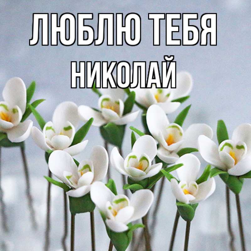 Картинка Люблю тебя, Николай