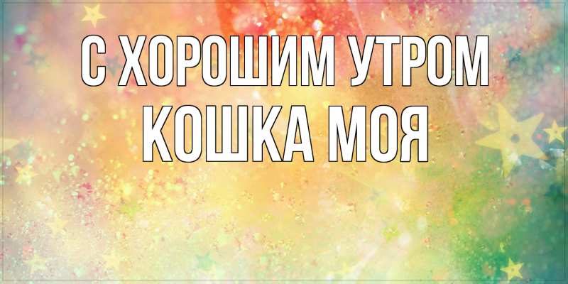 Картинка С хорошим утром, Кошка моя