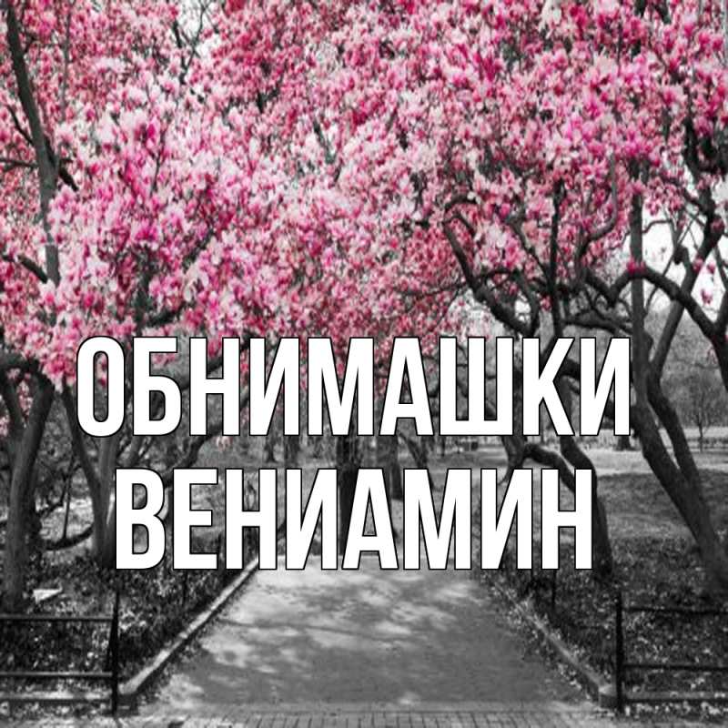 Картинка Обнимашки, Вениамин