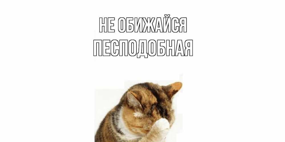 Открытка на каждый день с именем, Песподобная Не обижайся кот Прикольная открытка с пожеланием онлайн скачать бесплатно 