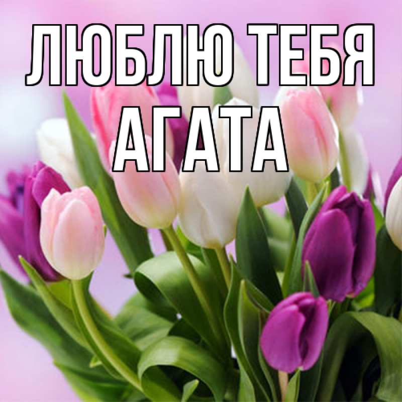 Картинка Люблю тебя, Агата