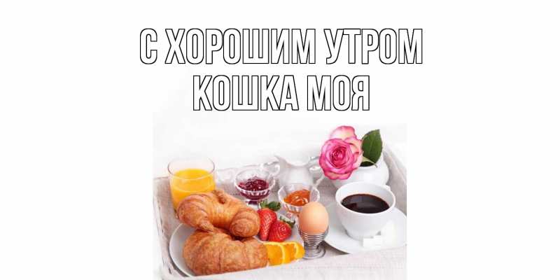 Картинка С хорошим утром, Кошка моя