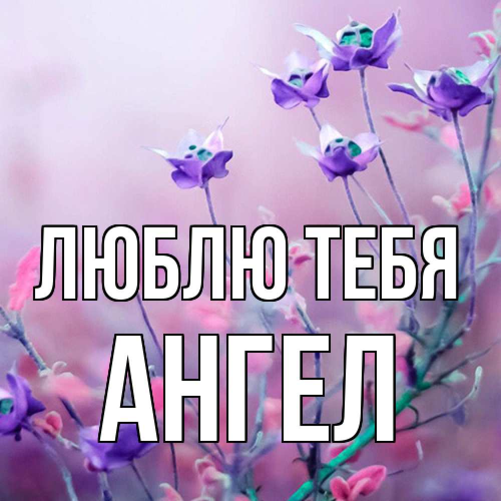 Открытка на каждый день с именем, Ангел Люблю тебя международный женский день 2 Прикольная открытка с пожеланием онлайн скачать бесплатно 