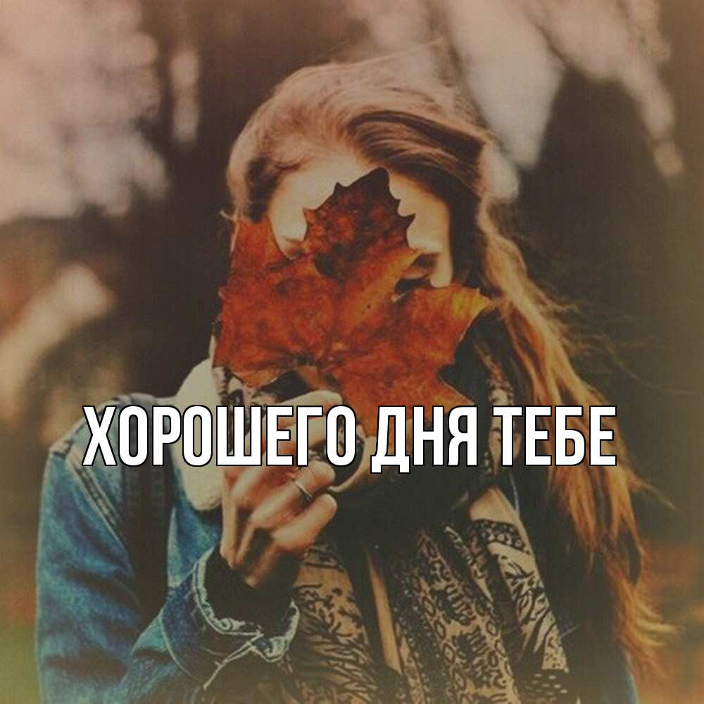 Открытка на каждый день с именем, Клемент Обнимашки осеннее настроение и рыжая Прикольная открытка с пожеланием онлайн скачать бесплатно 