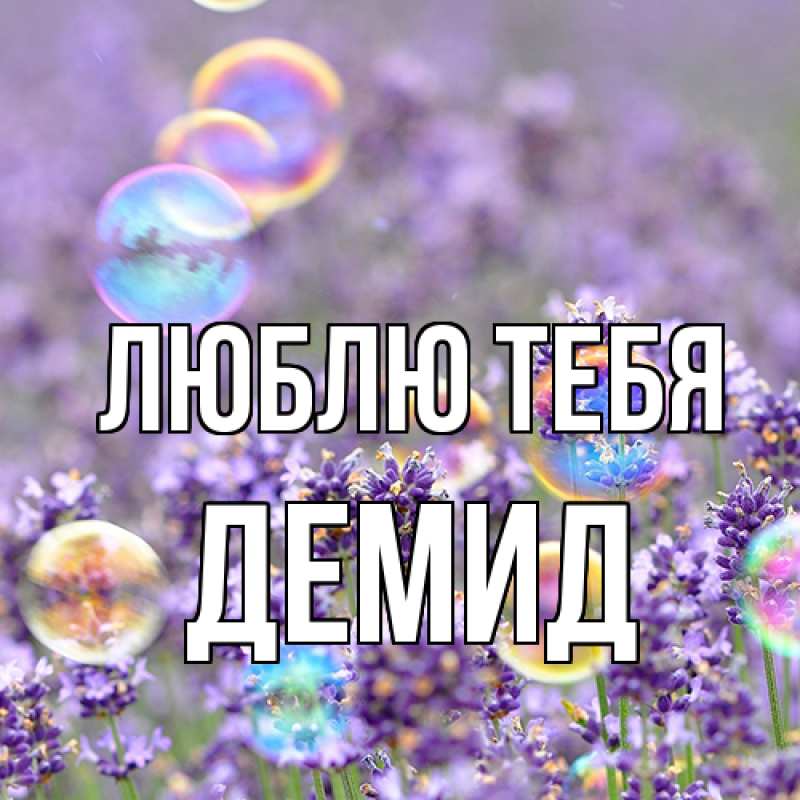 Картинка Люблю тебя, Демид