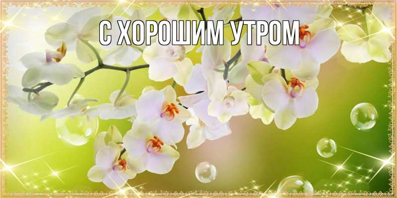 Картинка Люблю тебя, Таня