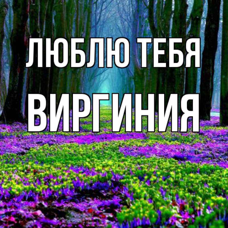 Открытка с именем, Виргиния, Люблю тебя