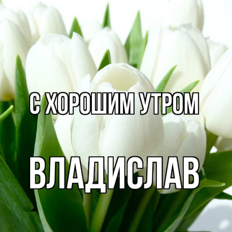 Картинка С хорошим утром, Владислав
