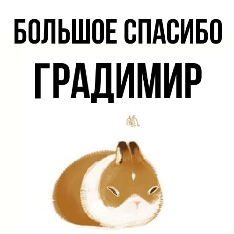 Картинка Большое спасибо, Градимир