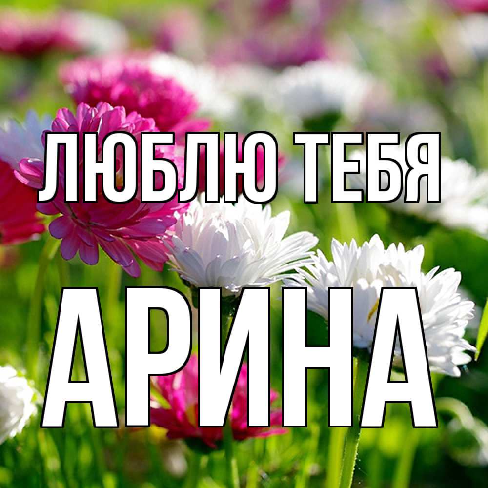 Открытка на каждый день с именем, Арина Люблю тебя международный женский день 1 Прикольная открытка с пожеланием онлайн скачать бесплатно 