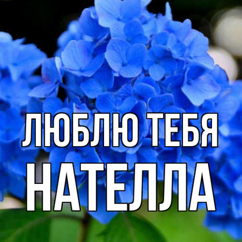 Картинка Люблю тебя, Нателла
