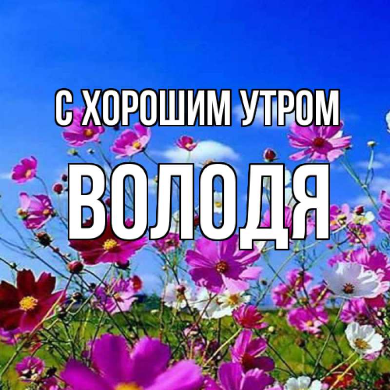 Картинка С хорошим утром, Володя
