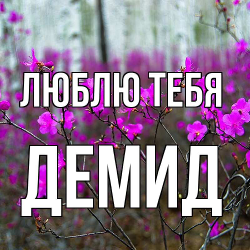 Картинка Люблю тебя, Демид