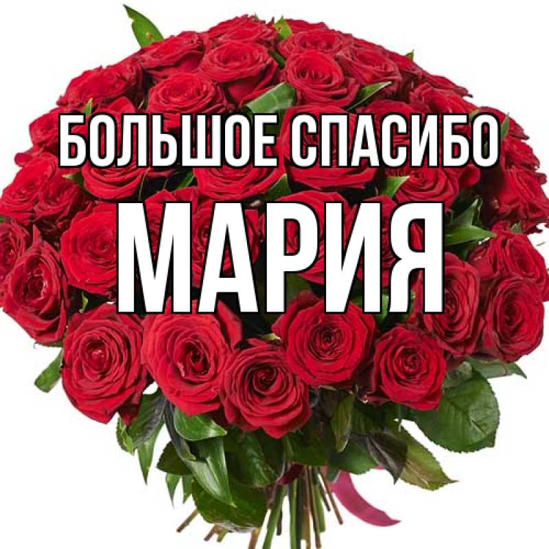 Картинка Большое спасибо, Мария