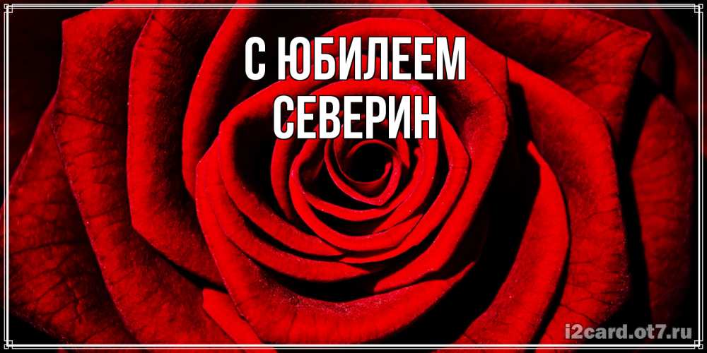 Открытка на каждый день с именем, Северин C юбилеем алая роза Прикольная открытка с пожеланием онлайн скачать бесплатно 